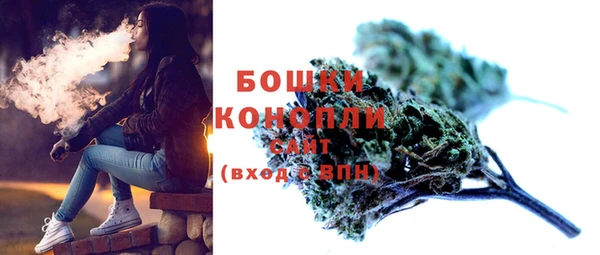 гашик Вяземский