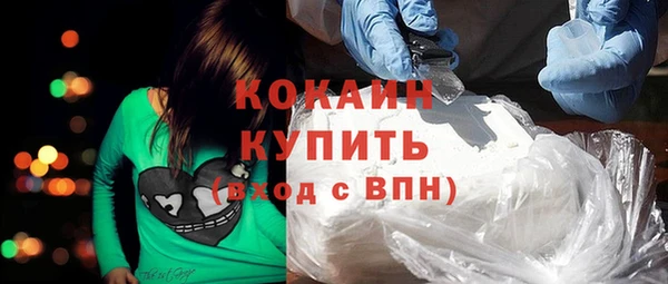 гашик Вяземский