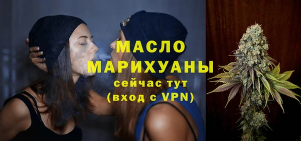 индика Вязьма