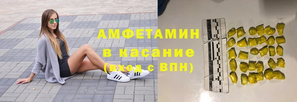 гашик Вяземский