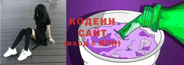 гашик Вяземский