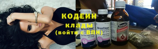 гашик Вяземский