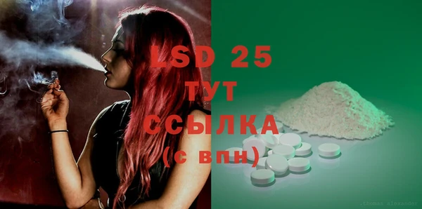 индика Вязьма
