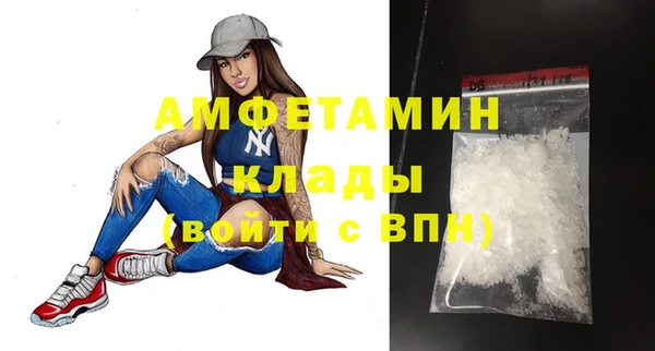 гашик Вяземский