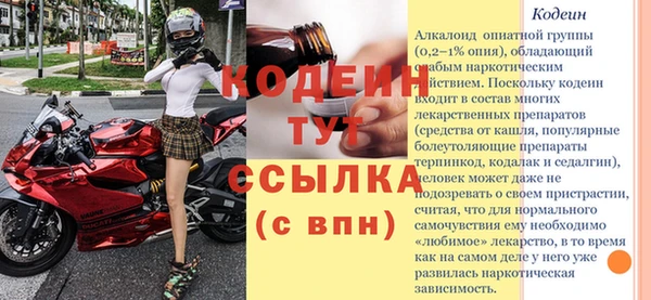 гашик Вяземский