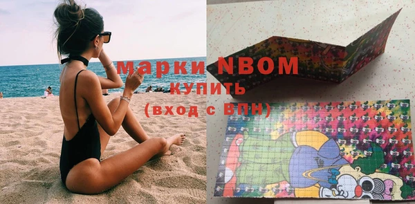 гашик Вяземский