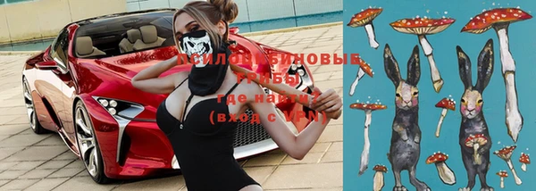 индика Вязьма