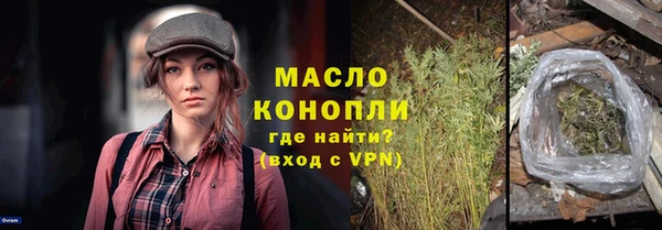 индика Вязьма