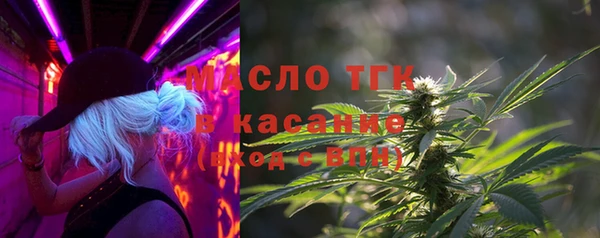индика Вязьма