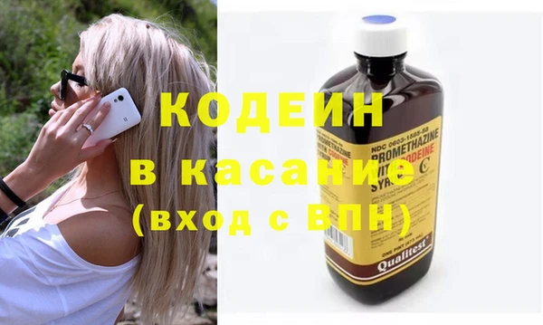 индика Вязьма