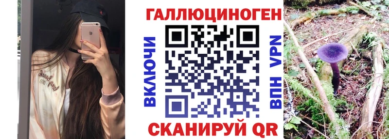 Псилоцибиновые грибы Psilocybe  Купить закладки  Валдай 